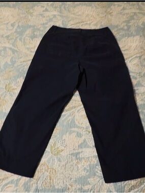 Talbots navy blue ankle pants, sz 6, used/good no holes